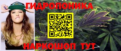 индика Кулебаки