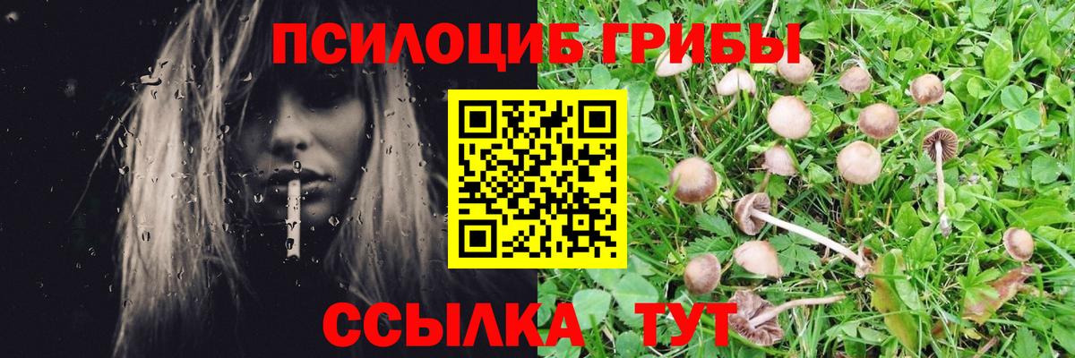 Галлюциногенные грибы MAGIC MUSHROOMS Феодосия